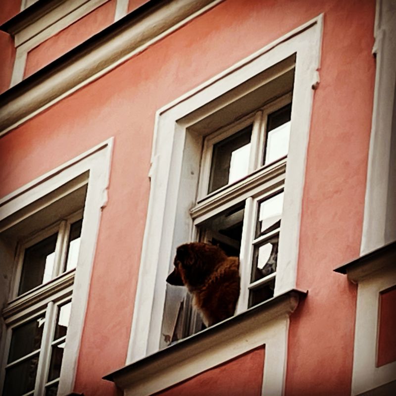 Vyhlížení inovací